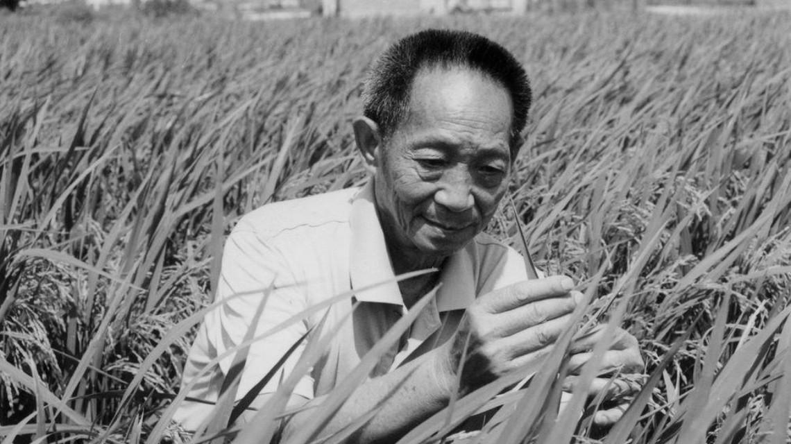 Yuan Longping, the father of hybrid rice in China, died